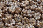 Garland Flower Beads 10x10mm - Image 2