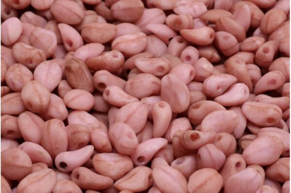 Tulip Petal Beads 6x8mm - Imagen 1