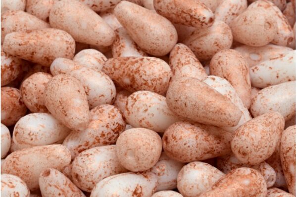 Drop Beads 15x8mm - Image 1