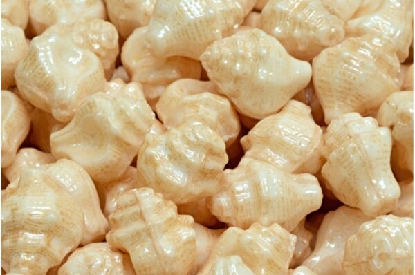 Murex Shell Beads 15x12mm - Image 1