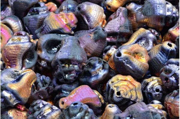 Murex Shell Beads 15x12mm - Image 1