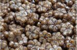 Garland Flower Beads 10x10mm