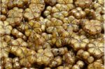 Garland Flower Beads 10x10mm
