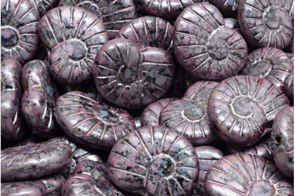 Shell Beads 17x13mm - Imagen 1