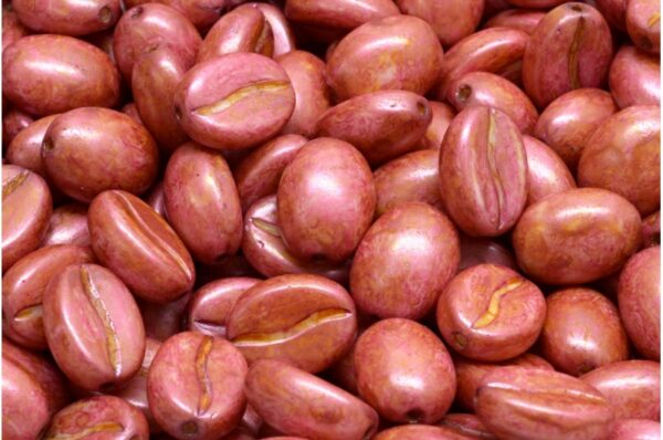 Coffee Bean Beads 11x8mm - Imagen 1