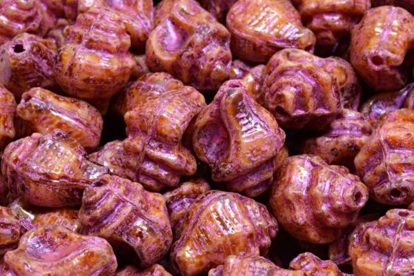 Murex Shell Beads 15x12mm - Imagen 2