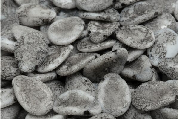 Anemone Petal Beads 11x16mm - Image 1