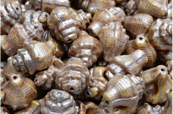 Murex Shell Beads 15x12mm - Imagen 1