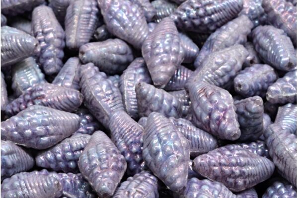 Miter Shell Beads 16x8mm - Image 1