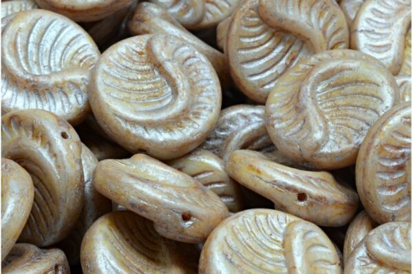 Fossil Coin Beads 19x19mm - Image 1