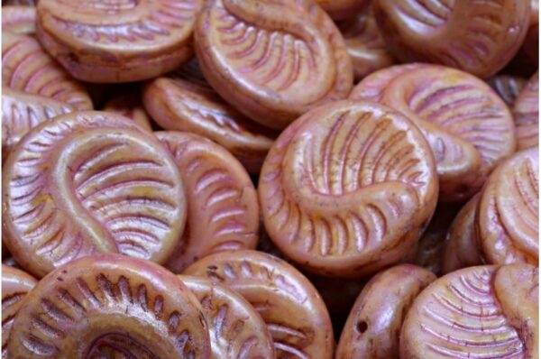Fossil Coin Beads 19x19mm - Image 1