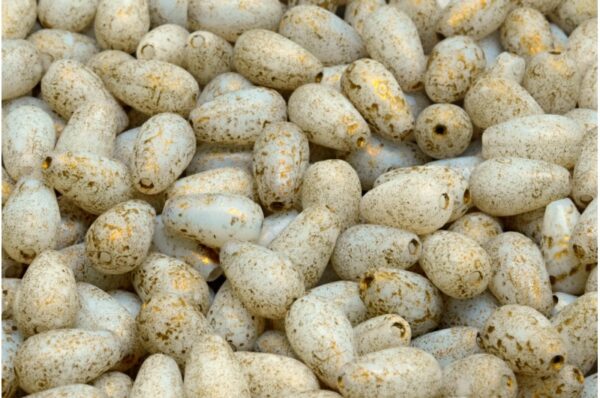 Drop Beads 9x6mm - Image 1