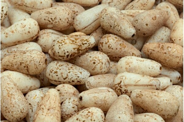 Drop Beads 15x8mm - Image 1
