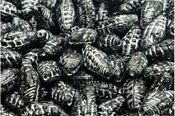 Miter Shell Beads 16x8mm - Image 1