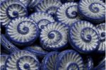 Fossil Shell Beads 18x18mm - Image 2