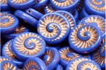 Fossil Shell Beads 18x18mm