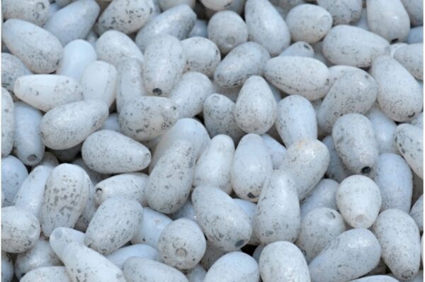 Drop Beads 9x6mm - Image 1