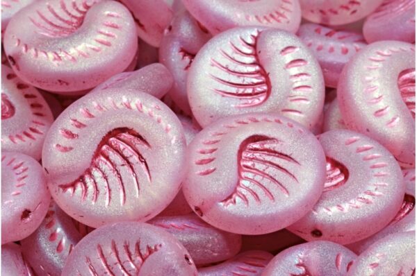 Fossil Coin Beads 19x19mm - Image 1