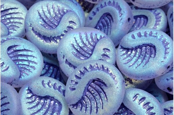 Fossil Coin Beads 19x19mm - Image 1