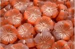 Hawaiian Flower Beads 14x14mm