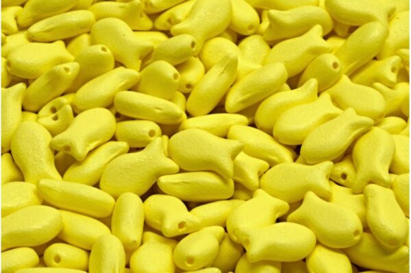 Fish Beads 10x6mm - Image 1