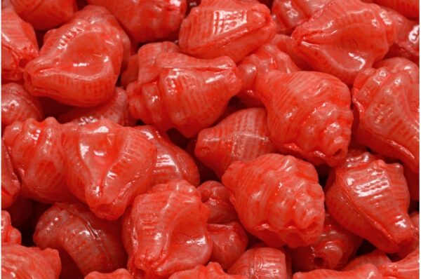 Murex Shell Beads 15x12mm - Imagen 1