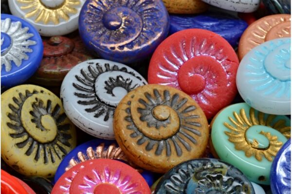 Fossil Shell Beads 18x18mm - Image 1