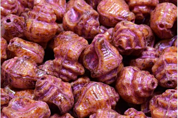 Murex Shell Beads 15x12mm - Imagen 1