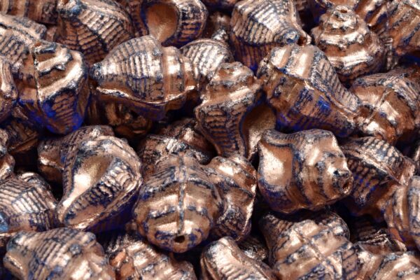 Murex Shell Beads 15x12mm - Imagen 2