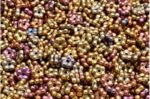 Forget Me Not Beads 5x5mm
