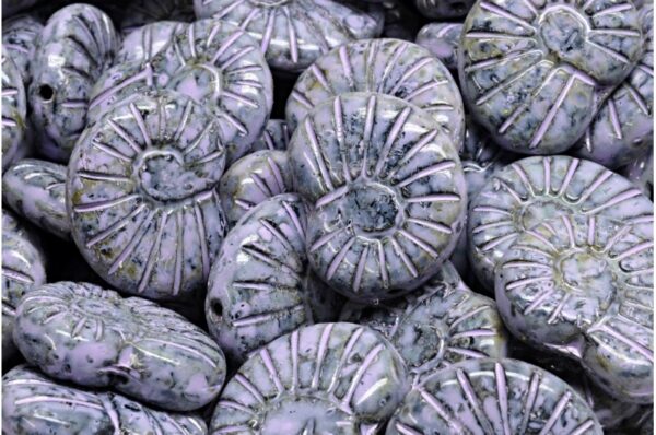 Shell Beads 17x13mm - Imagen 1