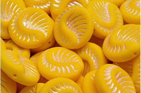 Fossil Coin Beads 19x19mm - Imagen 1