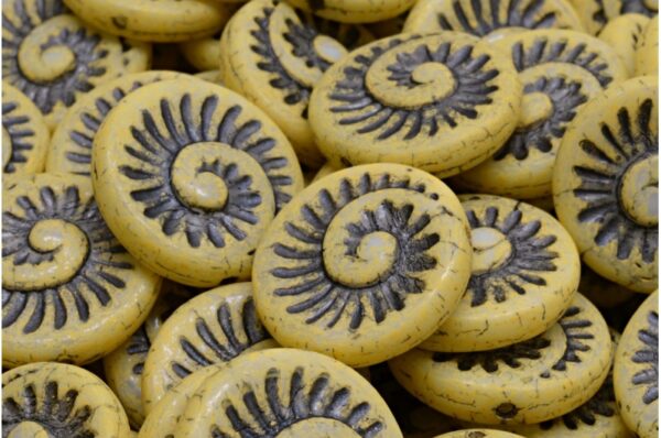 Fossil Shell Beads 18x18mm - Image 1