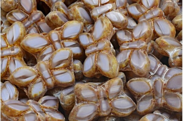 TCB Butterfly Beads 11x20mm - Image 1