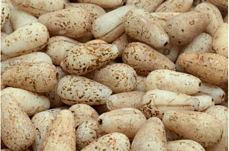 42025_111-59004-15x08-02010-etch-54317-jpg_1 Drop Beads 15x8mm - Image 1