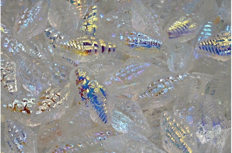 42692_111-95006-16x08-00030-28701-jpg_1 Miter Shell Beads 16x8mm - Image 1