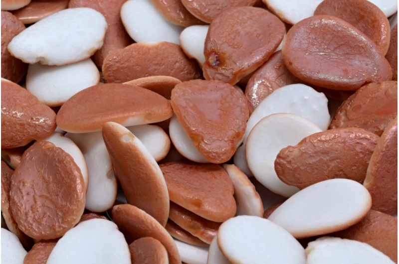 13183_111-01384-11x16-02010-etch-29121-jpg_1 Anemone Petal Beads 11x16mm - Image 1