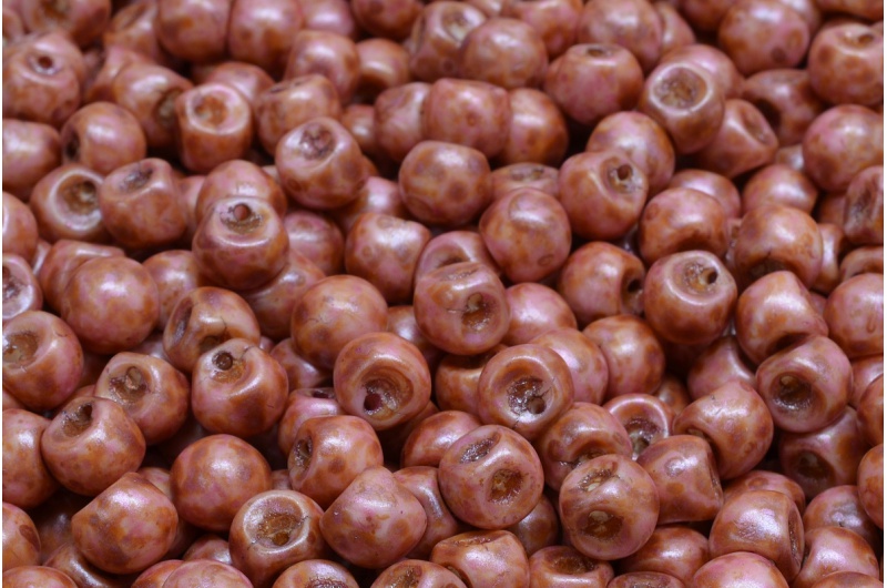 5001_111-95031-06x05-02010-65307-jpg_1 Mushroom Button Beads 6x5mm - Imagen 1