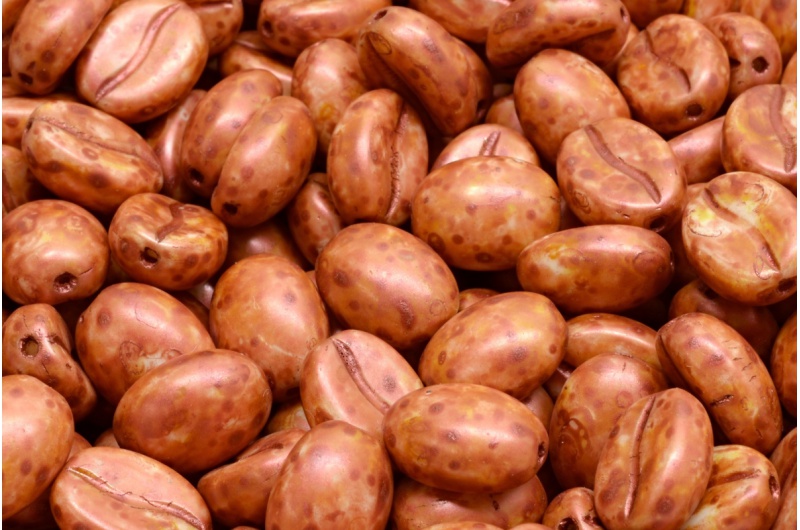 63969_111-30262-11x08-02010-65324-jpg_1 Coffee Bean Beads 11x8mm - Image 1