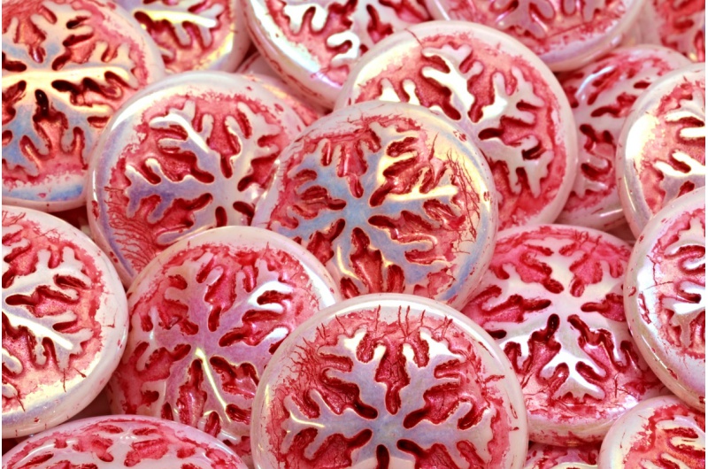 37966 111 95014 21x21 02010 28701 54327 jpg 1 2